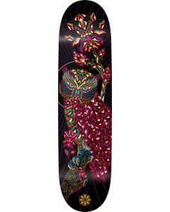 TECHNE BIRDS OF PREY 2 OWL DECK-7.75