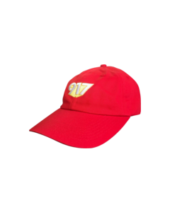 CALL ME 917 3D DAD HAT ADJ-RED