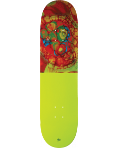 TKF SENSORY LAB 11 DECK-8.25