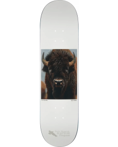 ZERO SANDOVAL HESS NATURE BUFFALO DECK-8.25 WHITE