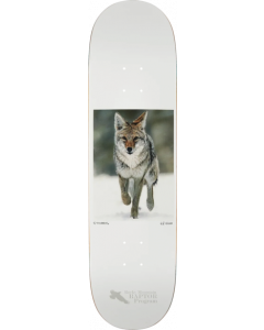 ZERO THOMAS HESS NATURE COYOTE DECK-8.5 WHITE