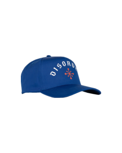 DISORDER ARCH LOGO HAT ADJ-ROYAL BLUE